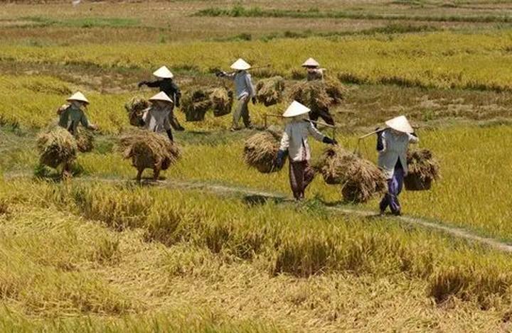 Các thay đổi thai kỳ của Li Wei và giải pháp của Hotspot Matrix